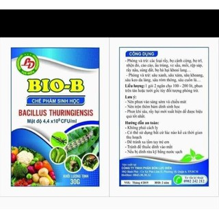 Chế phẩm sinh học trị trĩ, nhện, sùng đất ,các loại sâu bọ Bio B .