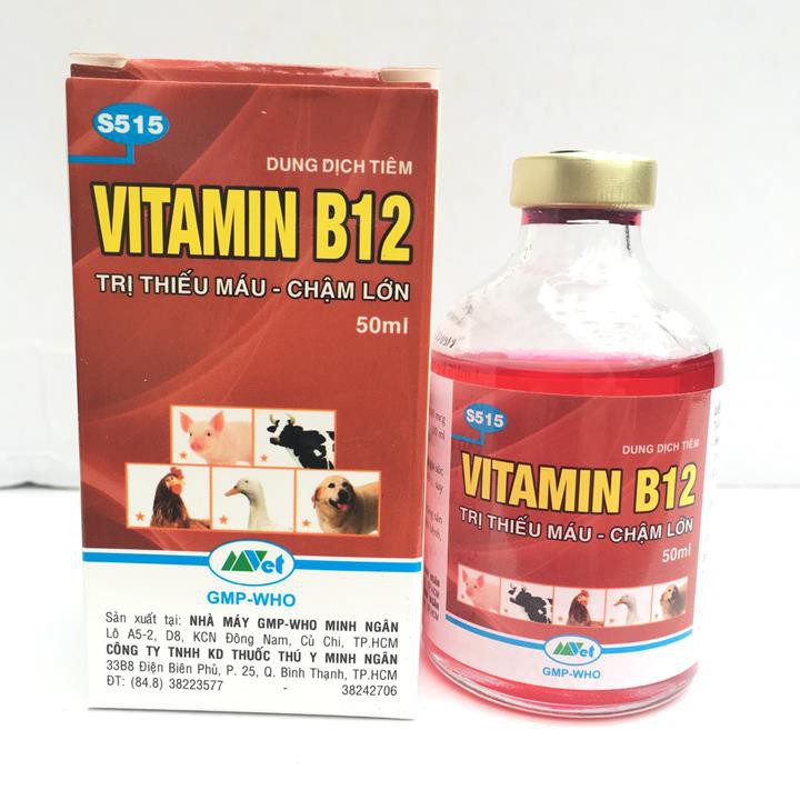 Vitamin B12 trị bệnh thiếu máu cho động vật, giải độc cho cây chai 50ml