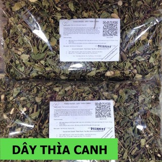 Cây Dây Leo Thìa Canh 💖FREESHIP💖 Giảm Ngay 20K Khi Nhập [DUOCL20K] Thảo Dược Tây Bắc