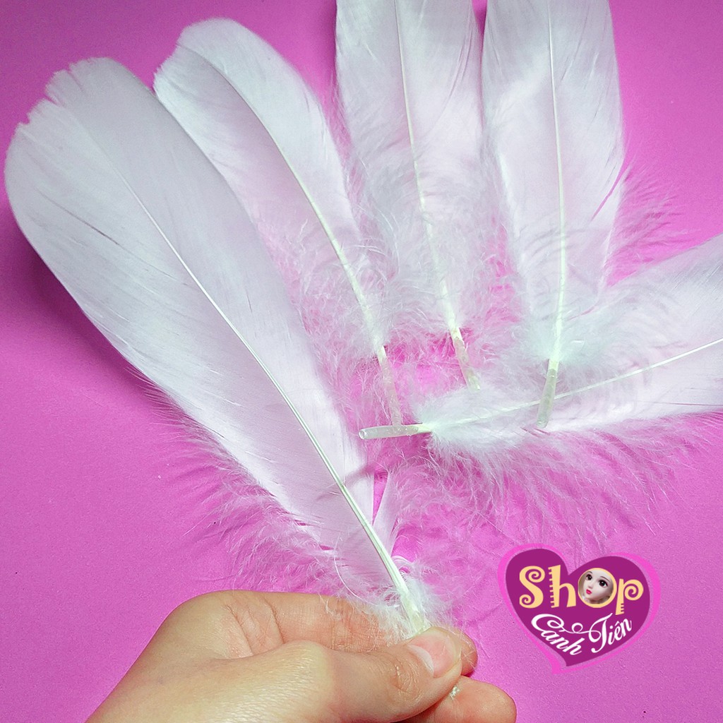 5 chiếc Lông vũ Trắng Lớn, Mượt đẹp làm Dreamcatcher, Chụp ảnh sản phẩm, trang trí thủ công