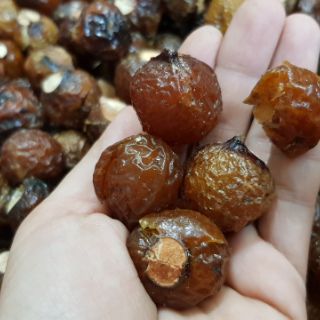 bồ hòn loại 1