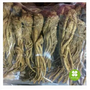 Đương Quy Khô 1KG -OLF 190