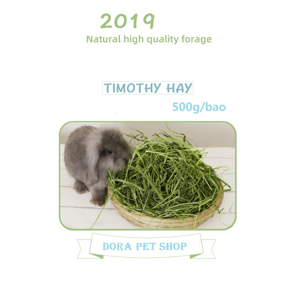 CỎ TIMOTHY CAO CẤP 500G HÀ LAN