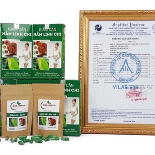 Giảm Cân Nấm Linh Chi
