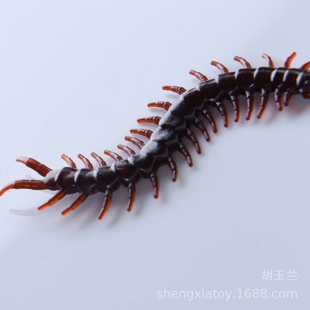 CON RẾT GIẢ côn trùng giả dùng để trang trí hoặc chơi khăm troll bạn bè