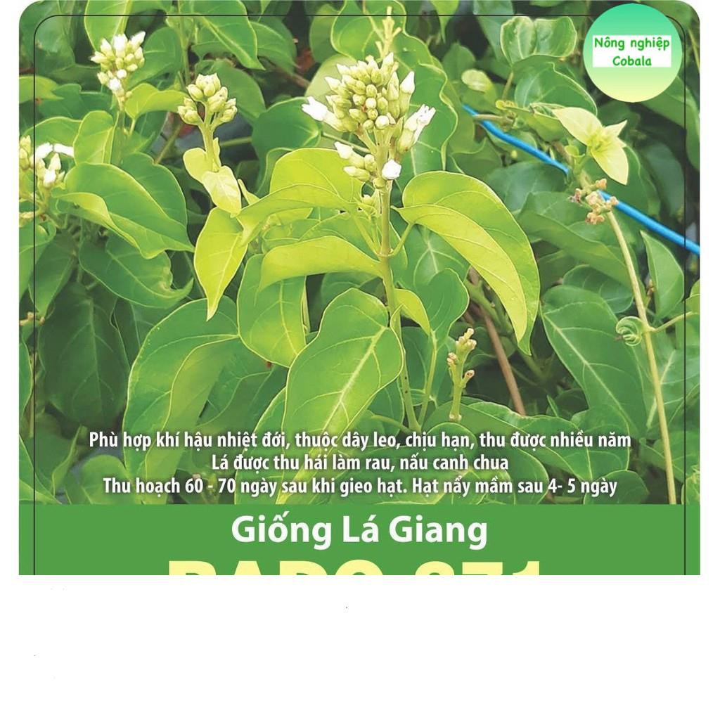 Hạt Giống Cây Lá Giang (5 Hạt)