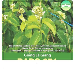 Hạt giống cây lá giang