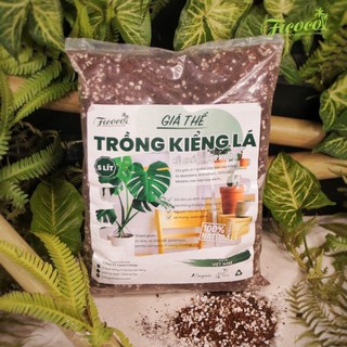 GIÁ THỂ TRỒNG KIỂNG LÁ - FICOCO