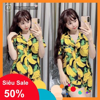 Bộ hoa quả đi biển n01