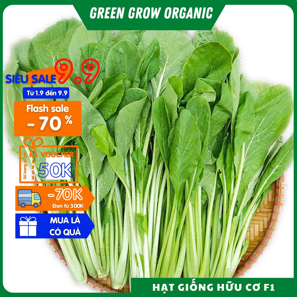 Hạt giống rau cải ngọt cao sản chịu nhiệt năng suất cao MS155 GREEN GROW ORGANIC