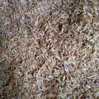 3kg Trấu hạt to