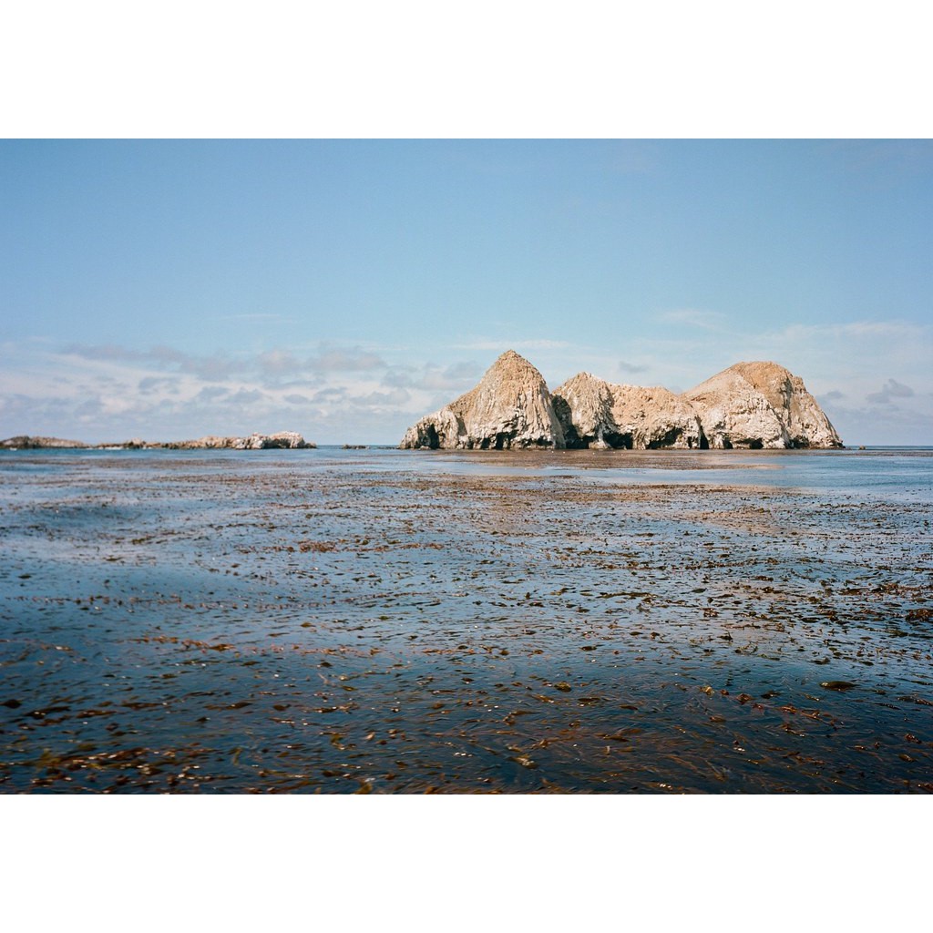 Kodak Gold 200 24EXP Date 09/2025 phiên bản mới loại hộp lẽ 1 hộp có 1 cuộn Film 35mm