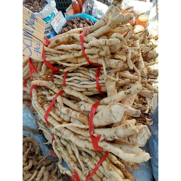 Sâm Xuyên Đá 1Kg