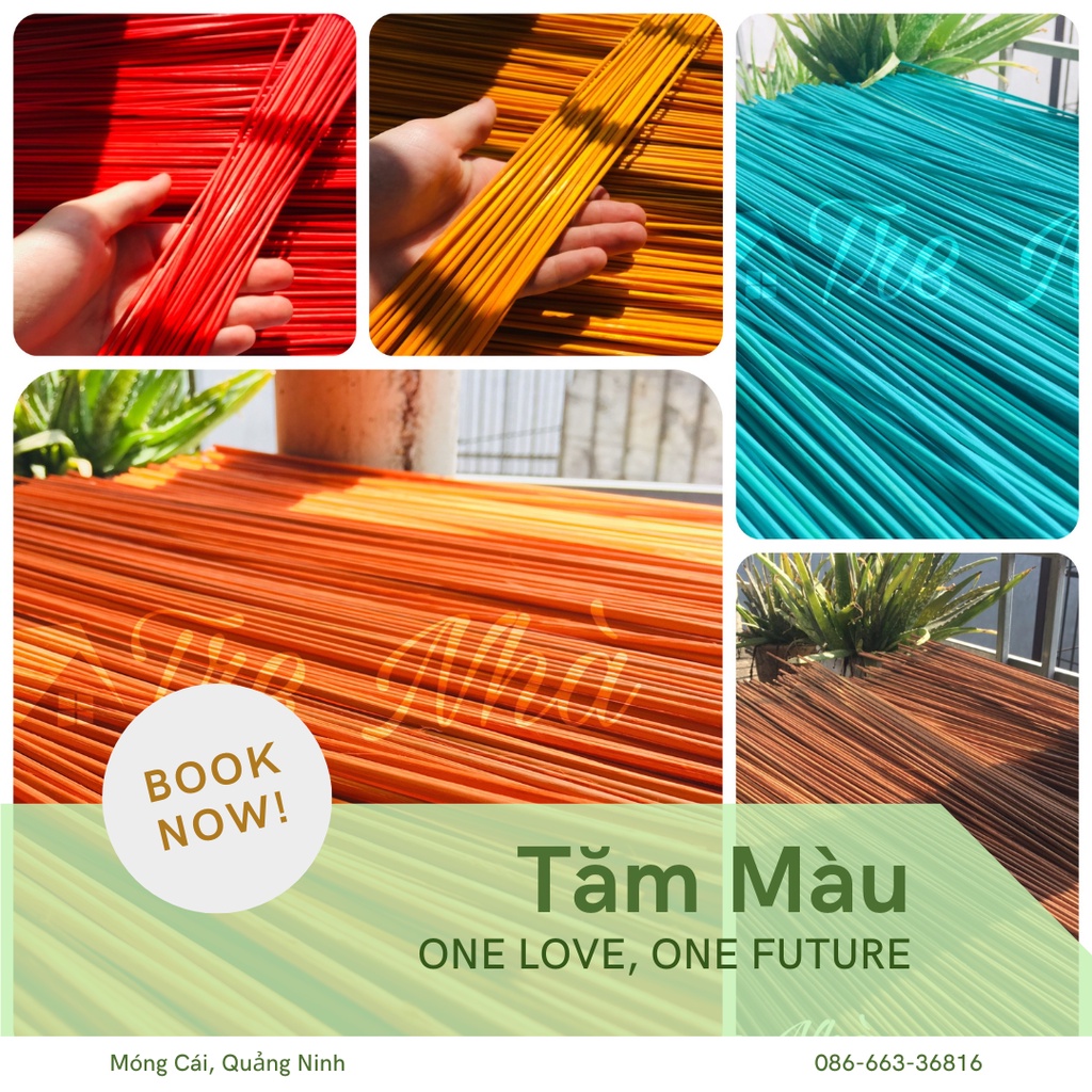 [500G] Tăm tre màu 1.8/2.5/3.0/4.0mm, dài 50cm - bó 500G