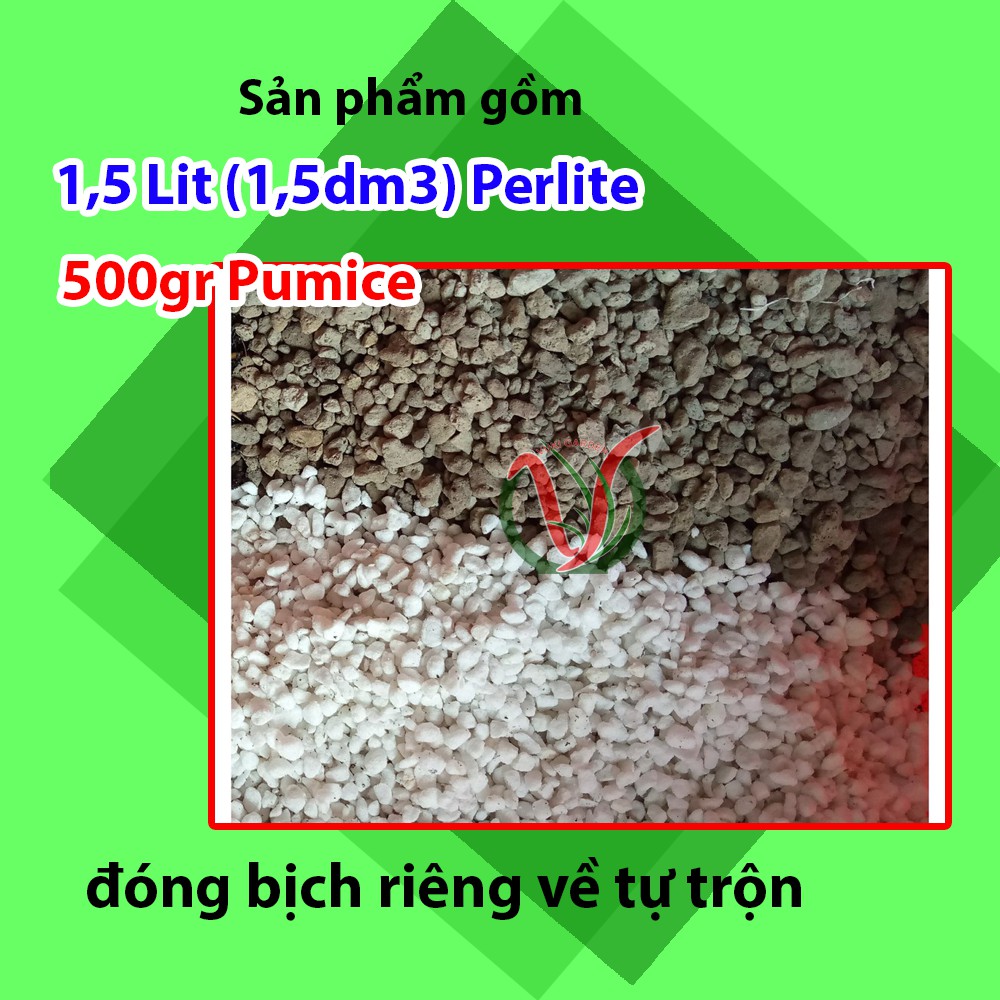 Đá bọt pumice và đá trân châu perlite dùng trộn đất trồng cây