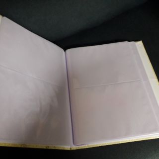 ABLUM 100  ẢNH 20X30