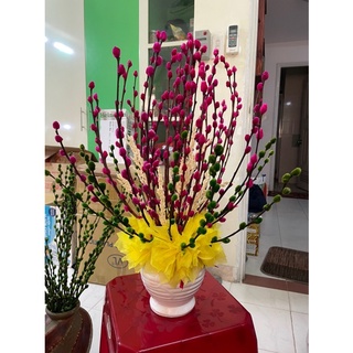 Bình Nụ Tầm Xuân Mini Để Bàn 50x50cm