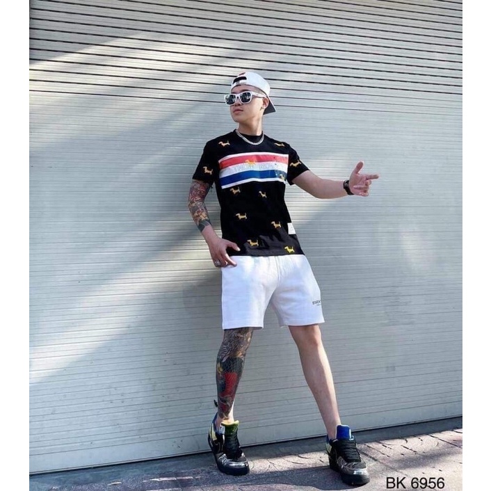 Áo THOM vạch ngực in chó TC6