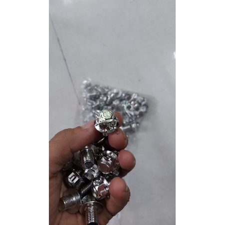 Ốc kiếng Salaya mẫu mới nhất 2022
