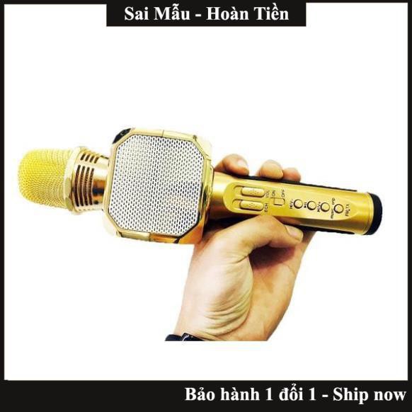 Loa bluetooth,Micro kèm loa Bluetooth Karaoke SD-10 (Model 2018 cực hay)