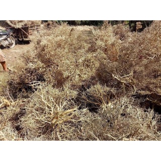 Lũa Xương Chùm 100g/35k 1kg