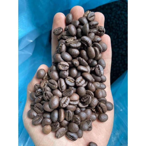 Cà Phê Hạt Robusta s18 Pha Phin | BigBuy360 - bigbuy360.vn