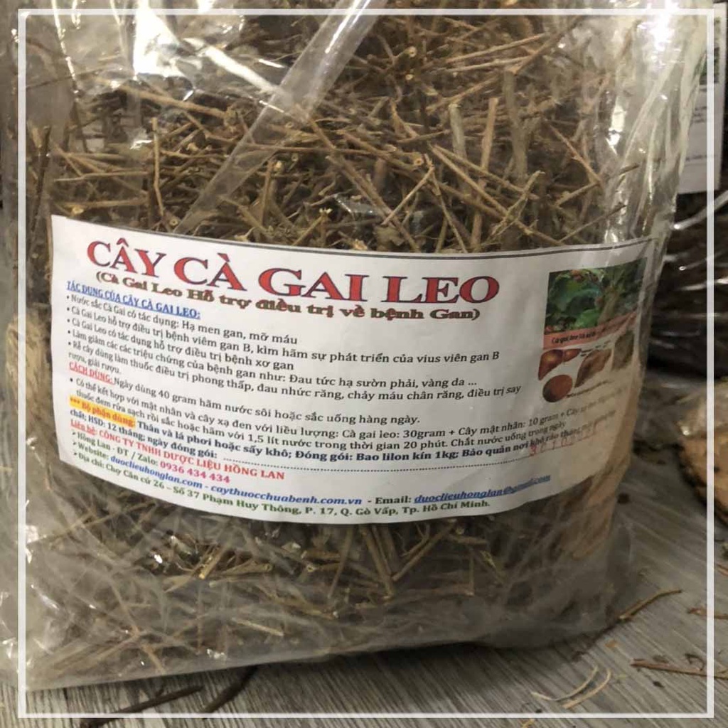 1kg Cây Cà Gai Leo khô sạch - Hàng chính hãng