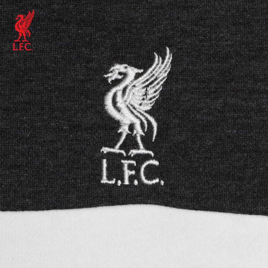 Áo hoodie tay dài có nón nam LFC Colour Block - A15022