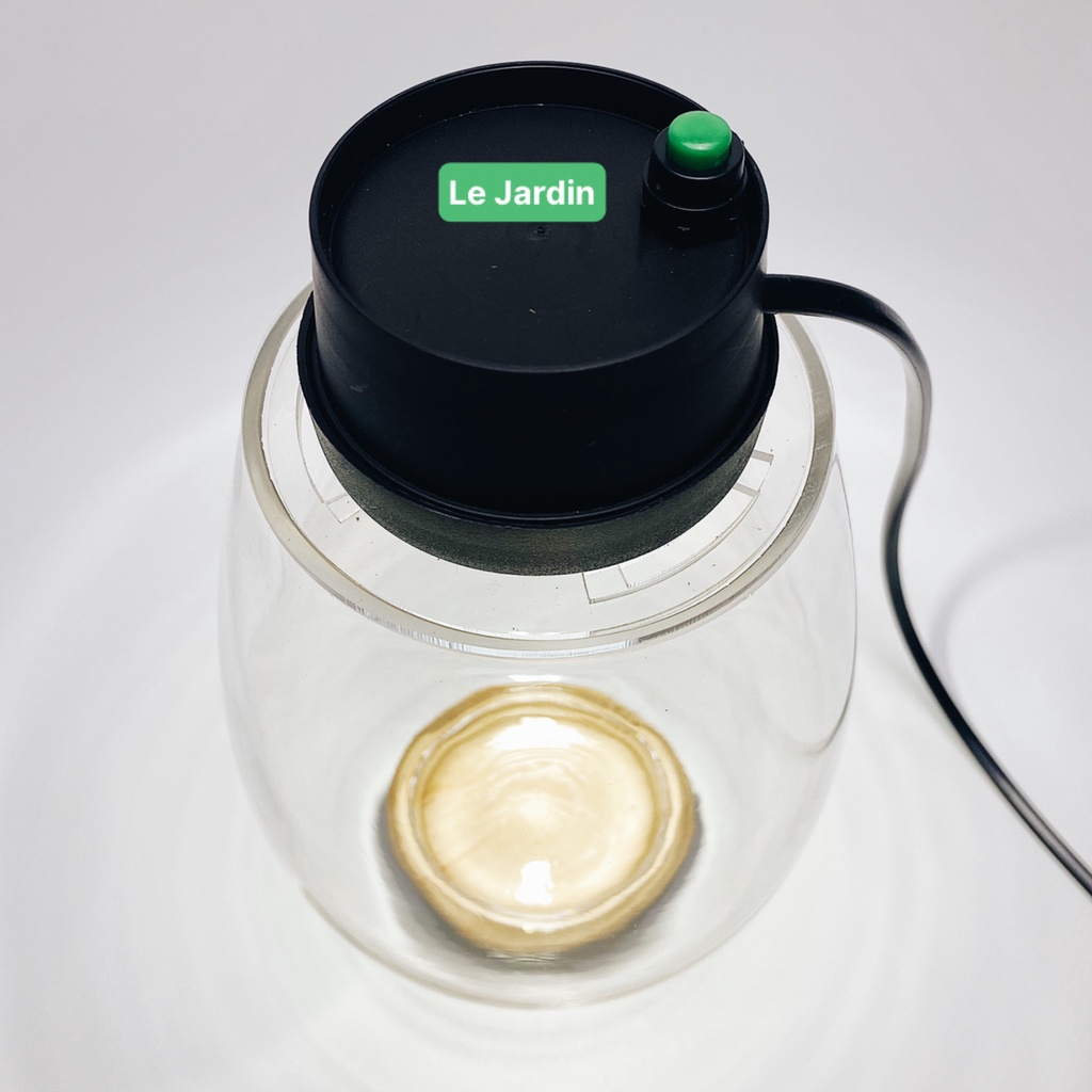 Mosslight - Bộ bình thủy tinh terrarium