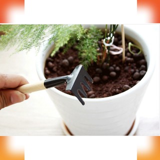 sieu pham Bộ cuốc xẻng làm vườn mini gia re
