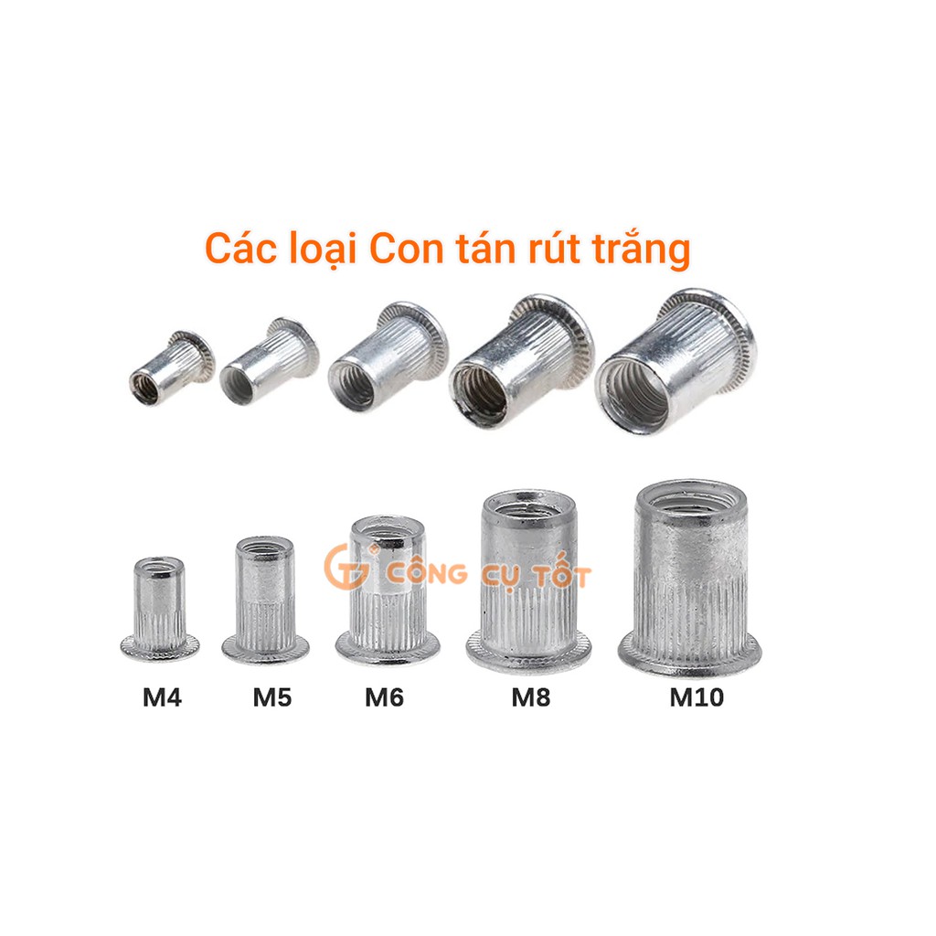 Ốc tán rút màu trắng