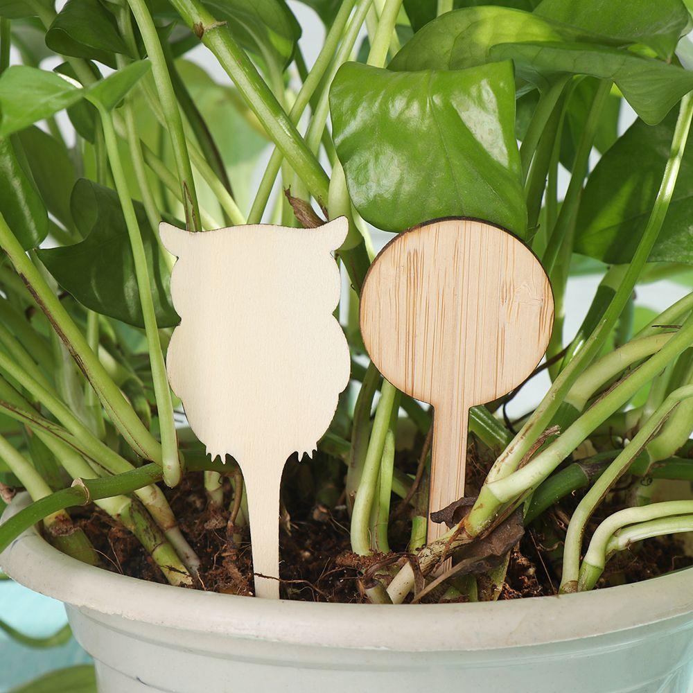 Set 10 / 20 Nhãn Gỗ Tre Nhiều Hình Dạng Làm Vườn