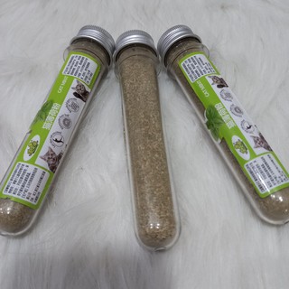 Cỏ mèo - Cỏ mèo bạc hà catnip