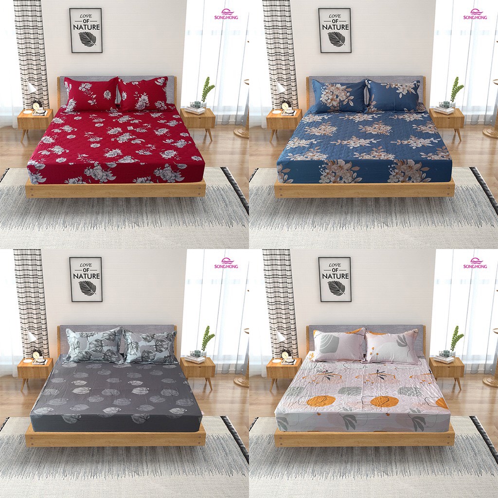 Bộ ga chun 180x200 có chần cotton Sông Hồng