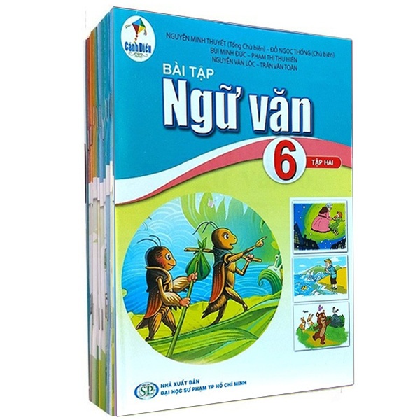 Bộ 13 cuốn sách bài tập lớp 6 - Cánh Diều