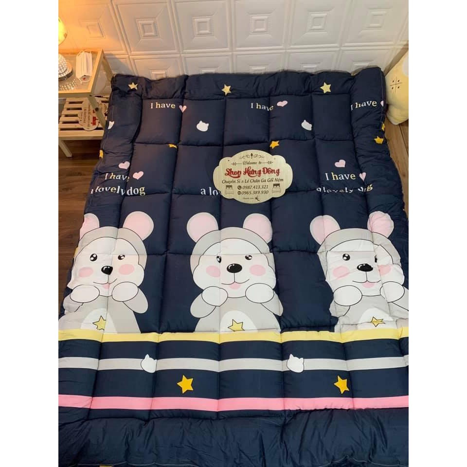 Xả Kho topper nệm đa năng chỉ 299k