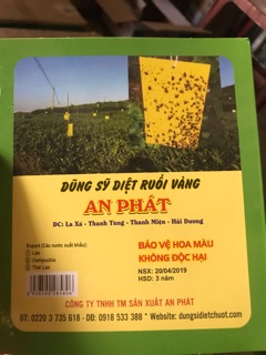 Miếng dán bẫy ruồi vàng An Phát