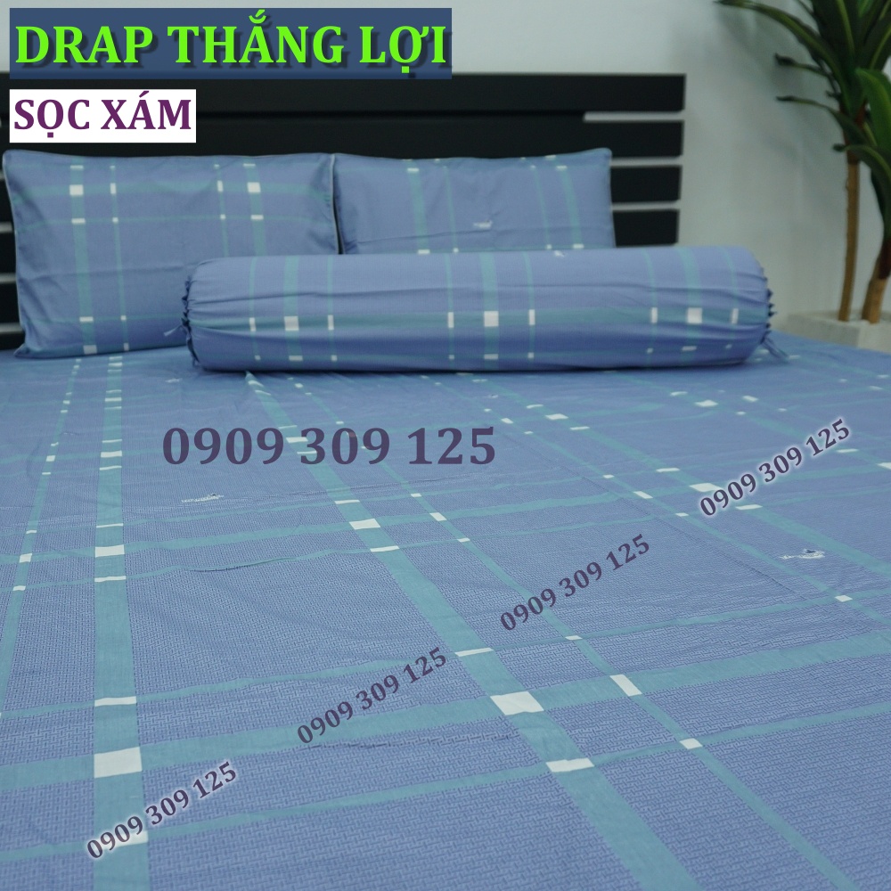 bộ ga cotton Thắng Lợi, ga giường chính hãng ( 4 món ) mẫu SỌC XÁM