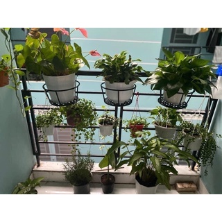 GIỎ TREO HOA BAN CÔNG