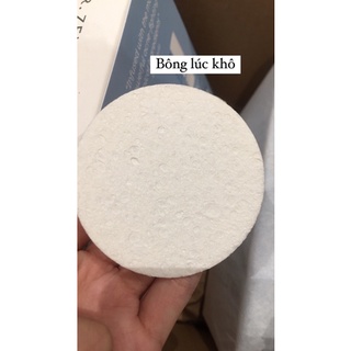 Bông mút rửa mặt (dùng cho bar rửa, mask rửa)