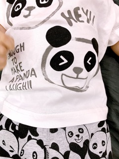 Bộ zara gấu