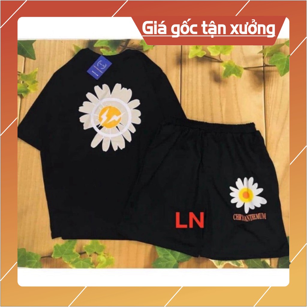 Sét áo hoa cúc 5D+ quần đùi chrisan LN12