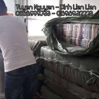 Sỉ 100c áo len