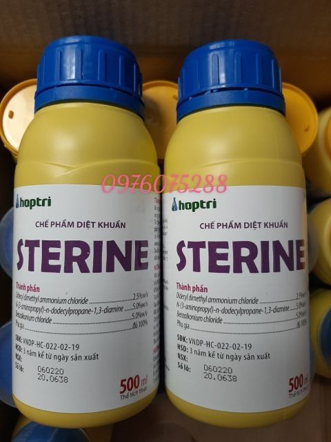Dung dịch khử trùng sát khuẩn Sterine 500ml
