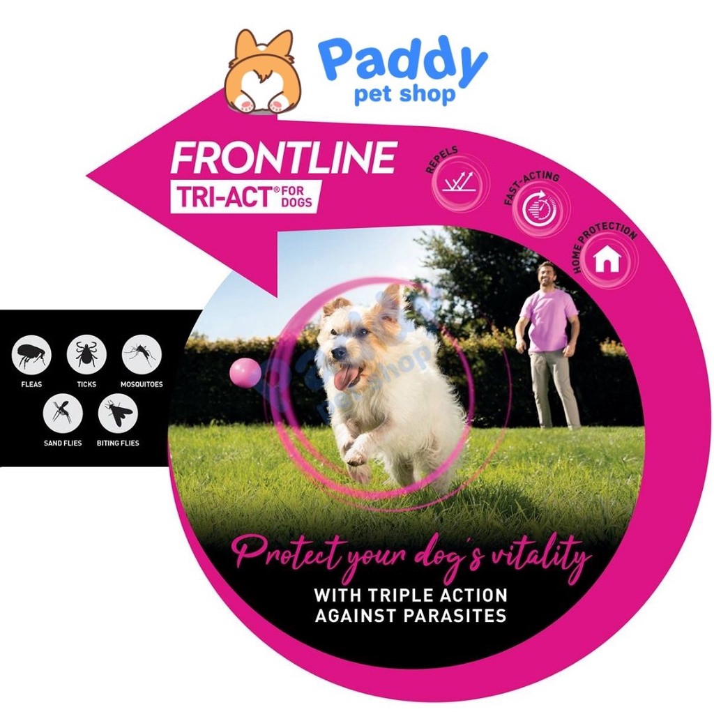 Nhỏ Gáy Frontline TRI-ACT Tẩy Ve Rận &amp; Xua Đuổi Ruồi Muỗi Cho Chó