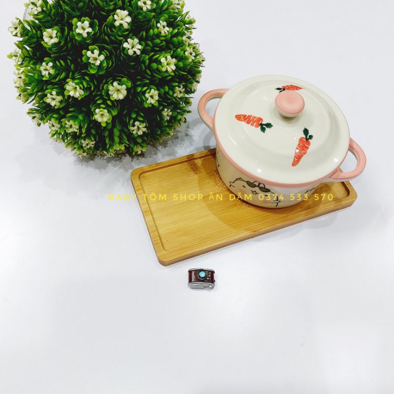 Bát ăn dặm gốm sứ hình nồi có nắp nhiều họa tiết,dung tích 230ml,NPP Baby Tôm