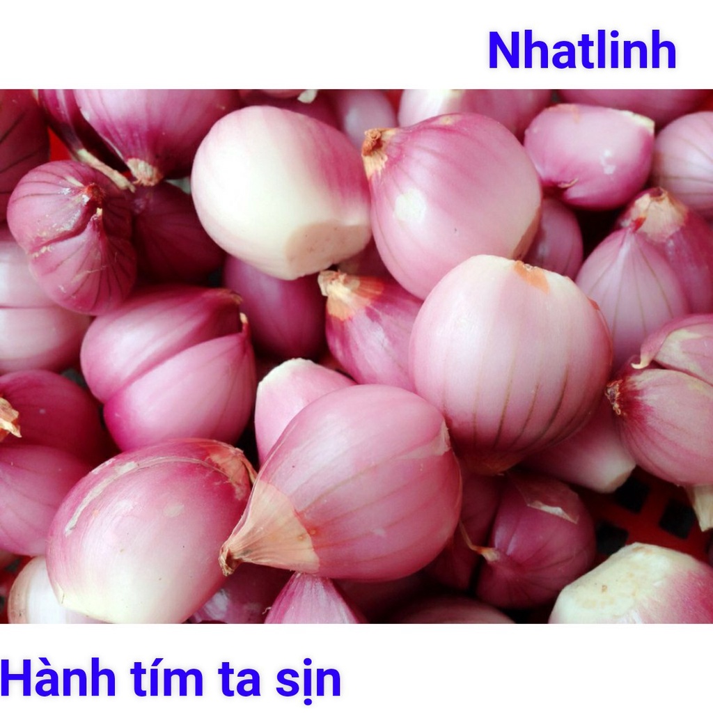 HÀNH KHÔ TÍM TỰ PHI THƠM NGON TẠI NHÀ