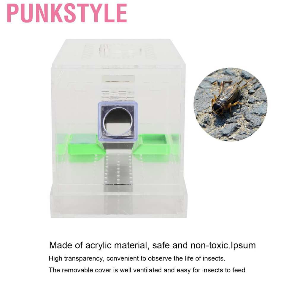 Punkstyle Acrylic Feeding Cricket Keeper Pen with Tubes Insect Cockroach Care Kit Reptile Tank Box