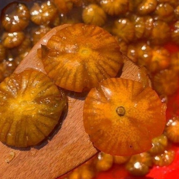 Tắc xí muội hoa đường phèn  hủ 1kg