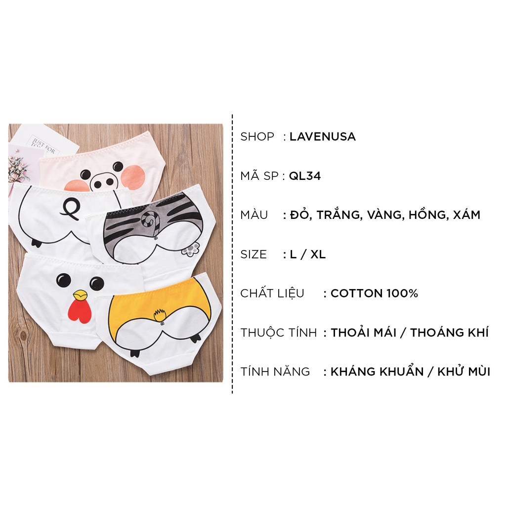 Quần lót nữ cotton thời trang cao cấp in hình đáng yêu dễ thương QL34 | BigBuy360 - bigbuy360.vn